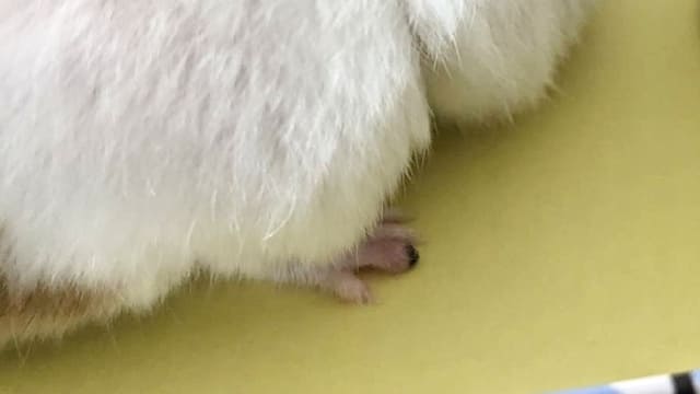 処置の後、指が腫れてしまった